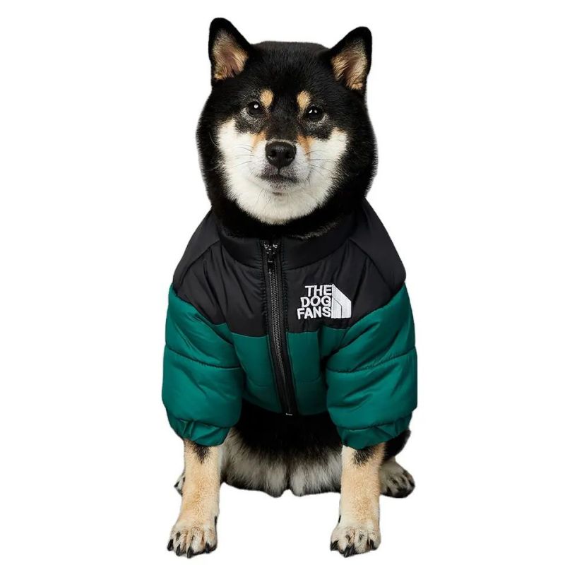 Piaraan Jaket Leutik jeung Anjing Lambang Anjing Baju